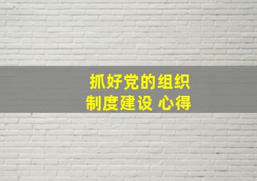 抓好党的组织制度建设 心得